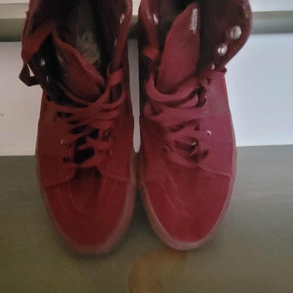 Vans #1 Skateboard Shoe